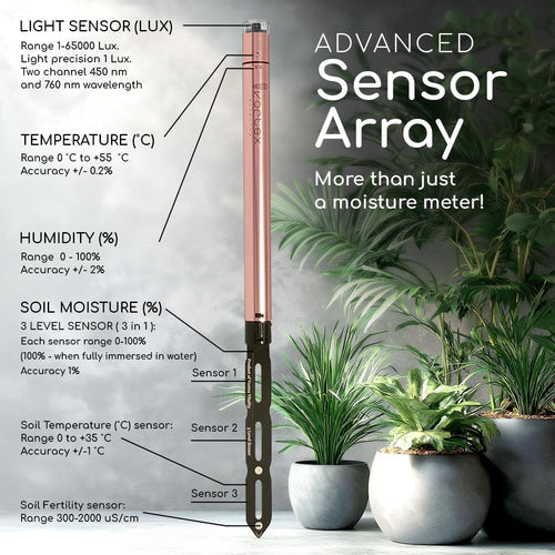 Vprobe (Rose Gold) - Vortex Vitality