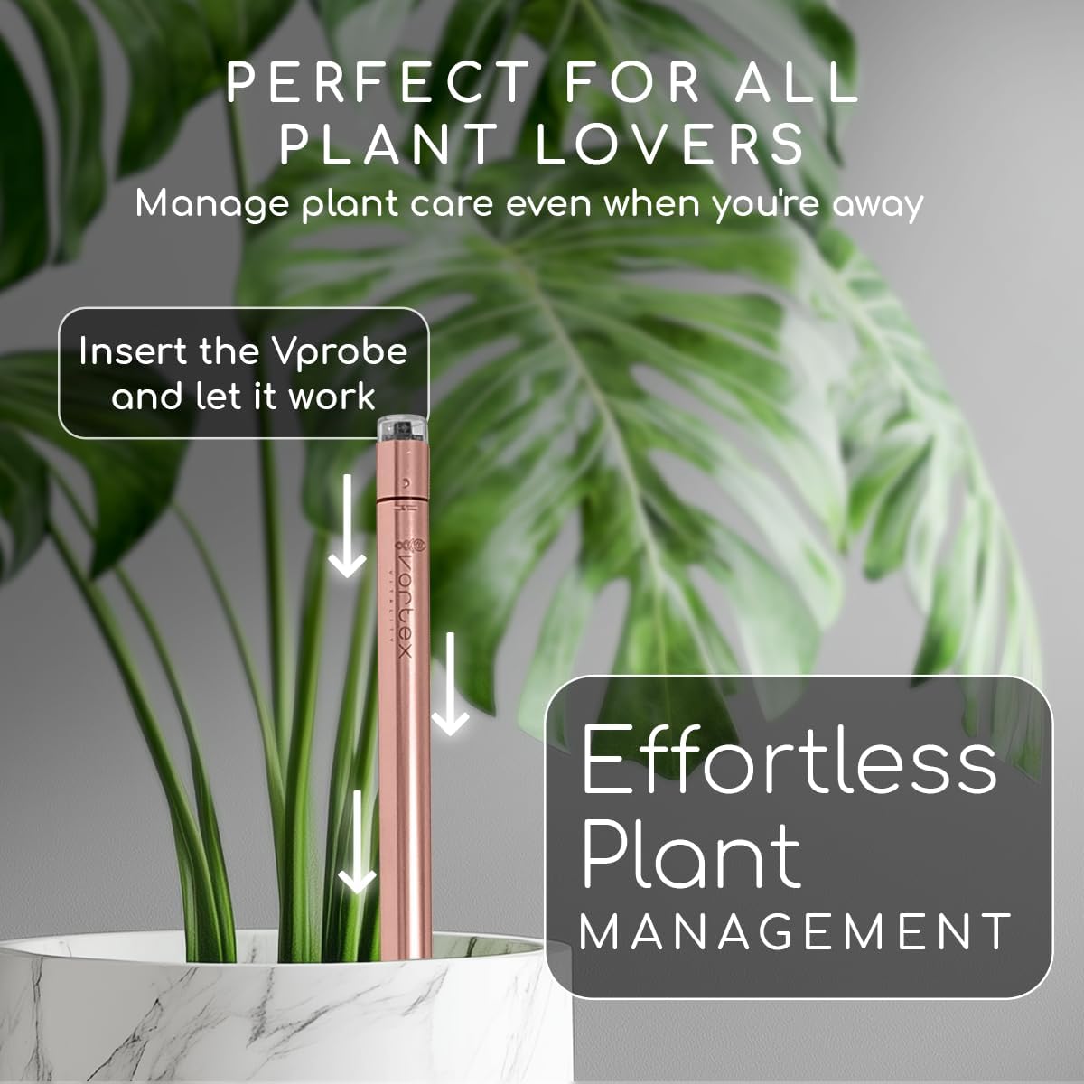 Vprobe (Rose Gold) - Vortex Vitality
