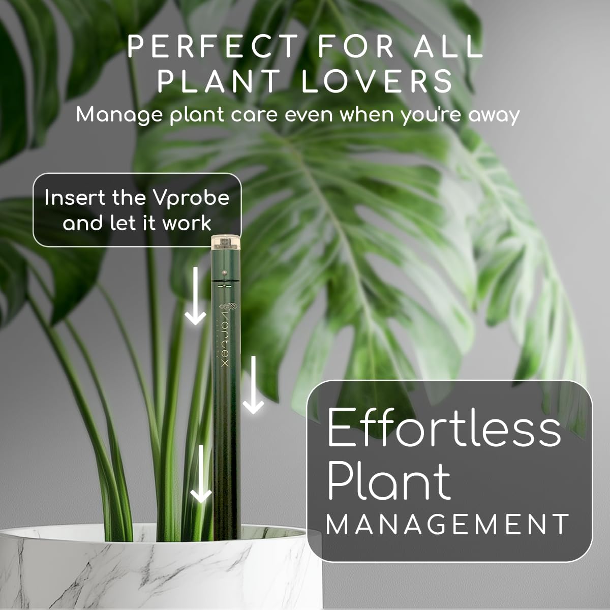 Vprobe (Shady Green) - Vortex Vitality